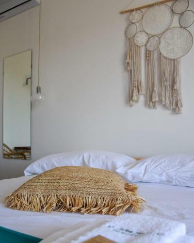 Bed & Breakfast La Ceiba Speciosa