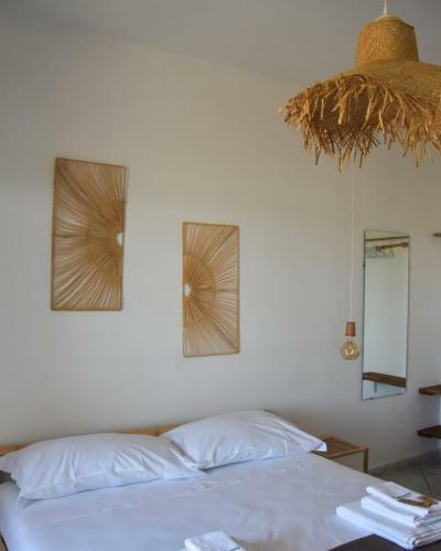 Bed & Breakfast La Ceiba Speciosa