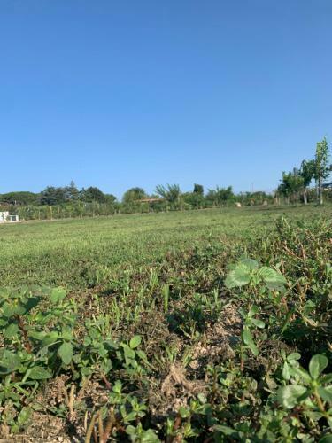 Cento Giorni B&B Costa Paestum