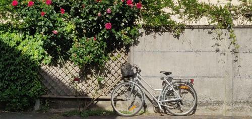 Bed & Breakfast L'alisier Chantant
