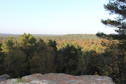 Bed & Breakfast L'alisier Chantant