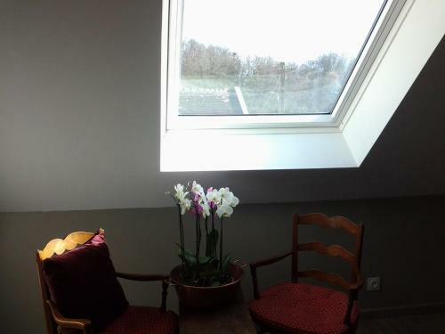 Bed & Breakfast Le Manoir Des Roches