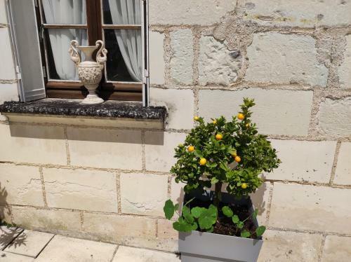 Bed & Breakfast Le Manoir Des Roches