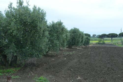 Agroturismo Nato Contadino