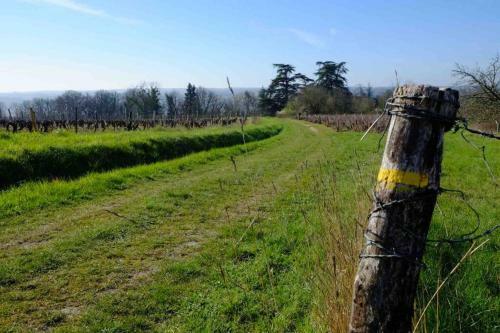 Petit Gite Ind�pendant 2* Entre Vignoble Et Cher