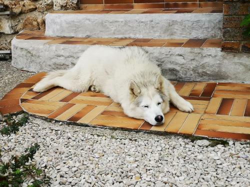 Le Temps D Une Pause � Boursault