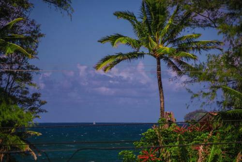Hale Ho'o Maha Bed And Breakfast