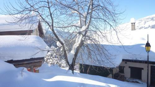 Chalet D' Edmond