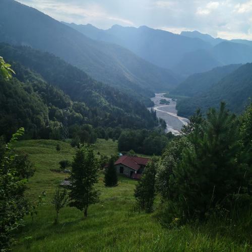Hostal Rifugio Malga Grasia