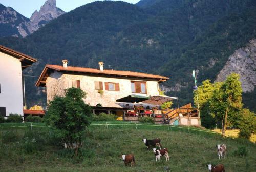 Hostal Rifugio Malga Grasia
