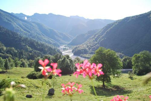 Hostal Rifugio Malga Grasia