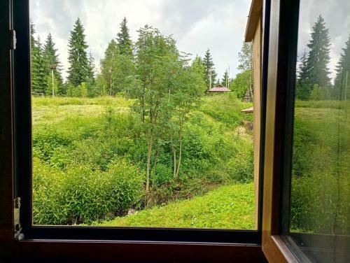 Hostal Gostynniy Dvir Raytshtoky