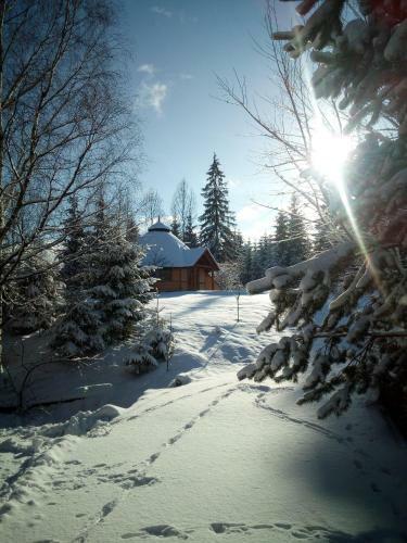 Hostal Gostynniy Dvir Raytshtoky