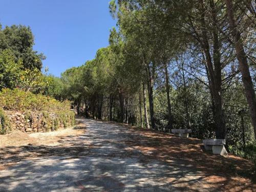 Villa Storica Tra Gli Ulivi - Vista Mare
