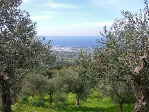 Villa Storica Tra Gli Ulivi - Vista Mare