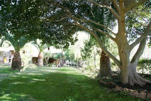 Villa Storica Tra Gli Ulivi - Vista Mare