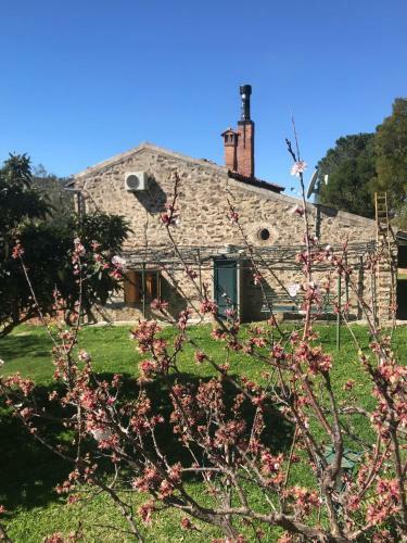 Villa Storica Tra Gli Ulivi - Vista Mare