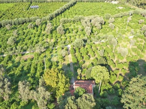 Agroturismo Agricontura