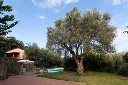 Agroturismo Agricontura