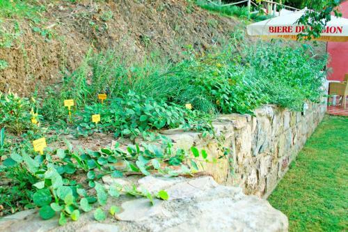 Agroturismo Agricontura