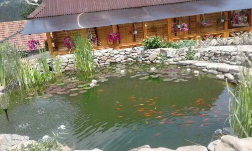 Hostal Khatky Na Penkakh