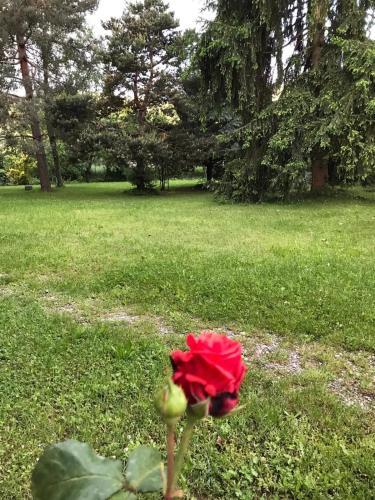 Apartamento Valleverde