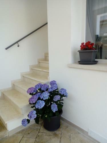 Bed & Breakfast Il Colle Del Barone