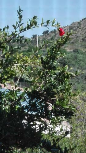 B&B Il Melograno