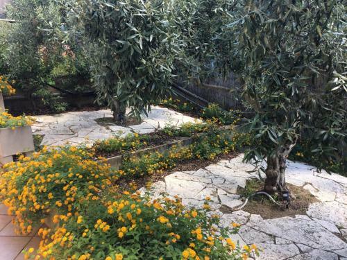 Bed & Breakfast Al Poggio - Luxury Rooms