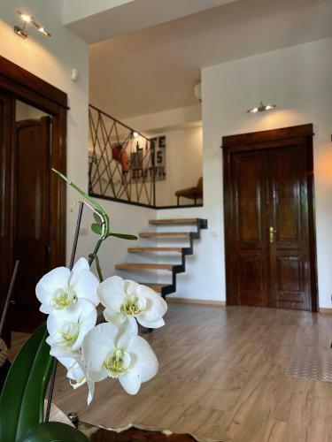 Bed & Breakfast Al Poggio - Luxury Rooms