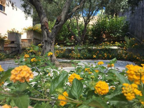 Bed & Breakfast Al Poggio - Luxury Rooms