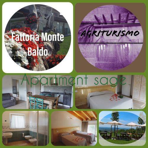 Apartamento Agriturismo Fattoria Monte Baldo