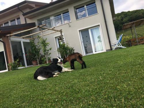 Apartamento Agriturismo Fattoria Monte Baldo