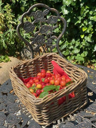 Dolce Vita In Tuscany Cottage