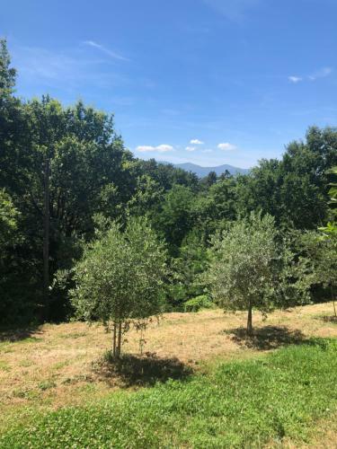 B&B Alloro