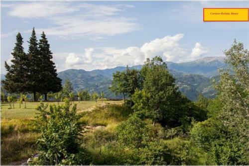 Cardoso Holiday House