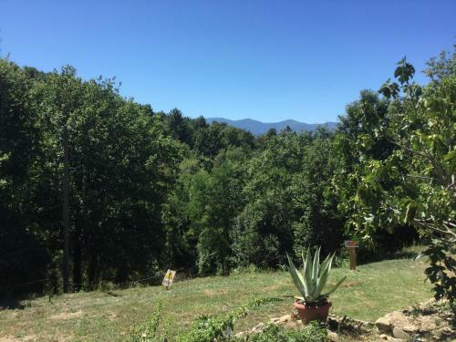 Apartamento Alloro Case Vacanze 3