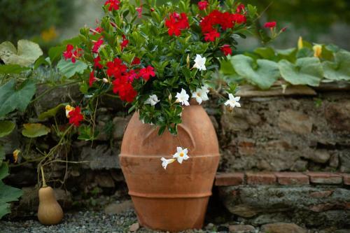 Bed & Breakfast Il Villano