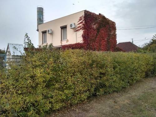 Villa ???? ? ???????
