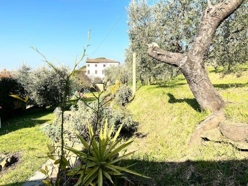 Casa Pozzi