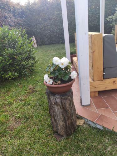Apartamento Appartamento Relax Con Giardino