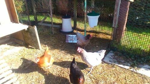 Hostal Le G�te Des Anges