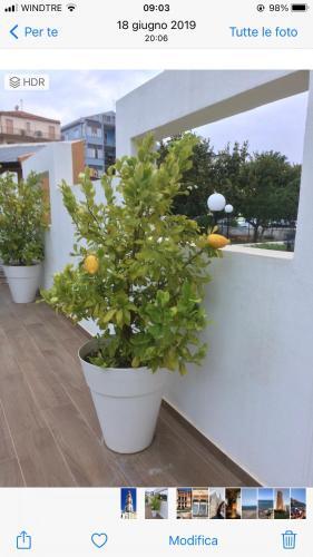 Hostal Dependance Reale