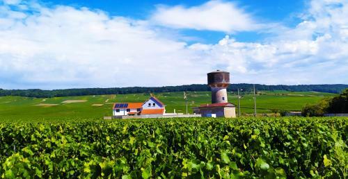 Bed & Breakfast Au Bouchon Champenois