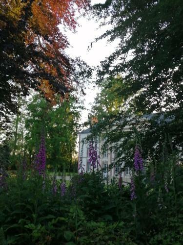 Le Domaine Des Jardins De Bracquetuit