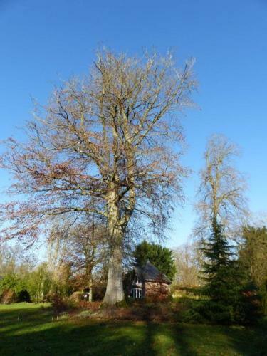 Le Domaine Des Jardins De Bracquetuit