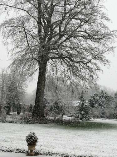Le Domaine Des Jardins De Bracquetuit