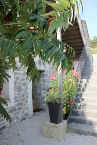 Bed & Breakfast Le Mas De Roux Chambres D'hotes
