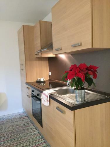 Apartamento R�sidence Brainoise