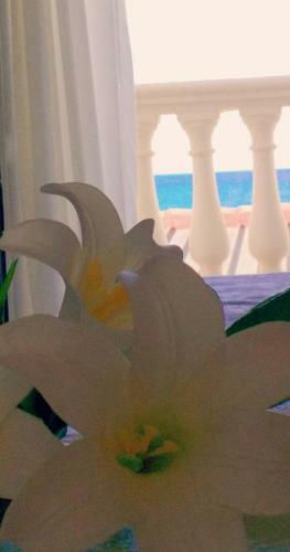 Hostal Al Giglio - Bed And Breakfast